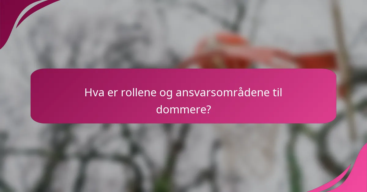 Hva er rollene og ansvarsområdene til dommere?